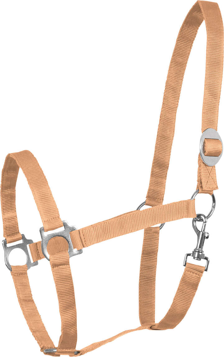 KANTRIE Perlonhalfter